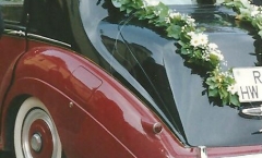 Hochzeit Bentley